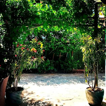 Shipka 3* Napospart