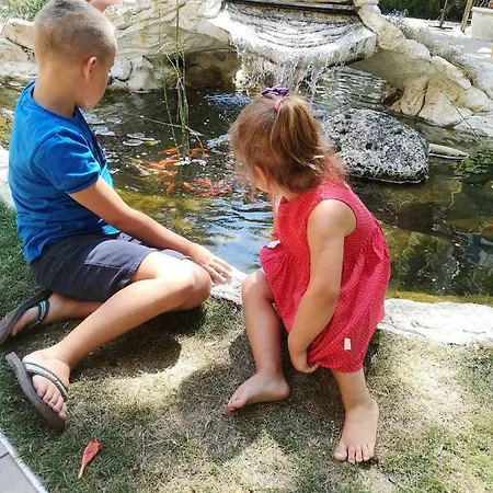 Shipka 3* 阳光海滩